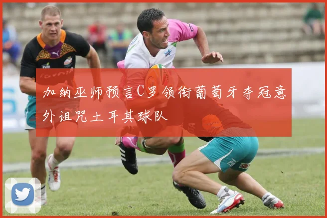 加纳巫师预言C罗领衔葡萄牙夺冠意外诅咒土耳其球队